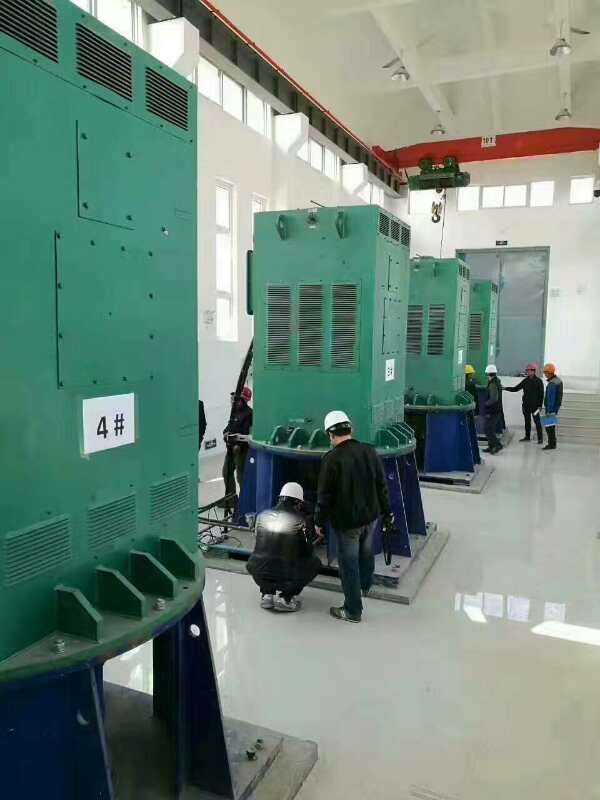 平坝某污水处理厂使用我厂的立式高压电机安装现场